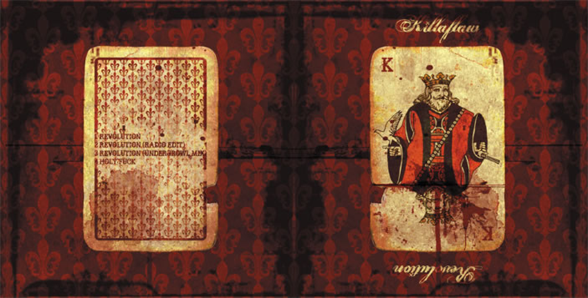 killaflaw / revolution